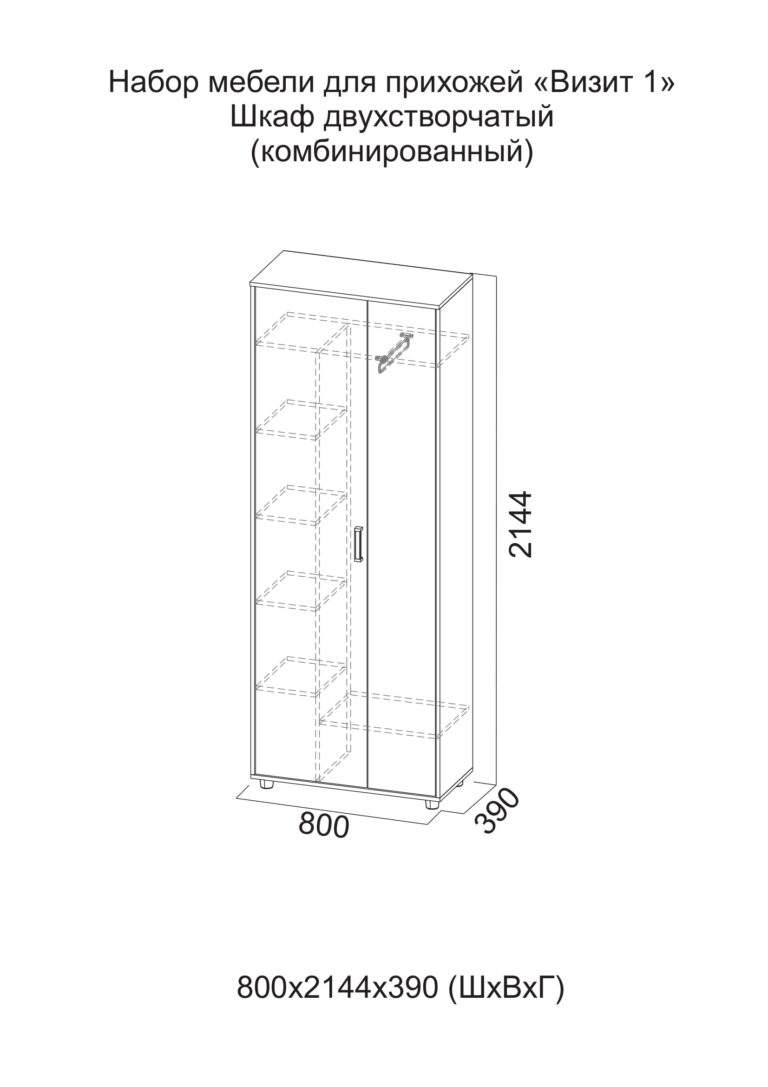 Шкаф двухстворчатый визит 1